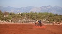 Antalya Orman Çiftliği