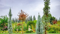 Haber_Kepez Botanik Park