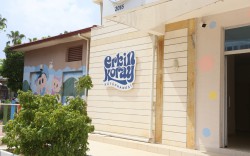 Erkin Koray Gençlik Kütüphanesi