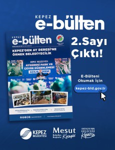 Şubat 2025