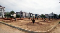 Bir portakal bahçesi de Mehmet Akif Ersoy Mahallesi’ne