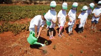 Çocuklara huzur veren çiftlik ‘Antalya Orman Çiftliği’
