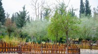 Kepez’in Botanik Park’ın da görsel şölen