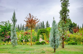 Kepez’in Botanik Park’ın da görsel şölen