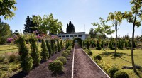 Kepez’den şehrin merkezine botanik bahçe
