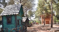 Kepez’in Orman Kütüphanesi açılıyor  