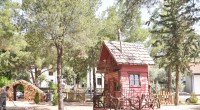 Kepez’in Orman Kütüphanesi açılıyor  