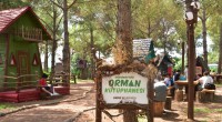 Çocuklar Dokumapark Orman Kütüphanesini çok sevdi