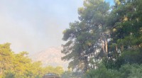 Kepez Belediyesi, Kemer orman yangını için seferber oldu