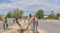 Kerkük Caddesi’nde peyzaj çalışması