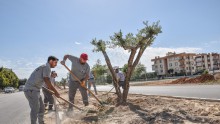 Kerkük Caddesi’nde peyzaj çalışması