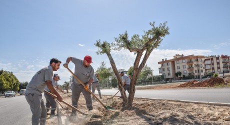 Kerkük Caddesi’nde peyzaj çalışması