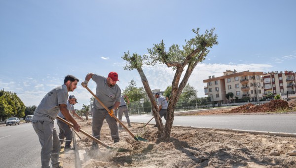 Kerkük Caddesi’nde peyzaj çalışması 