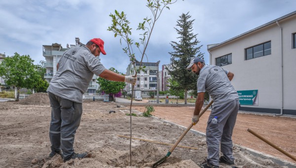 Ünsal’a yeşil bahçe 