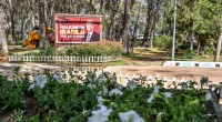 Kepez’e sevgi çiçekleri