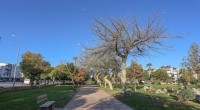 Kepez 19 mahallede 53 parkı yeniledi