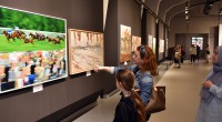 Modern Sanatlar Galerisi, 2025’te de dolu dolu