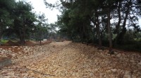 Tek Sarnıç Parkı’nda hummalı çalışma