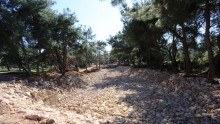 Tek Sarnıç Parkı’nda hummalı çalışma