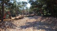 Tek Sarnıç Parkı’nda hummalı çalışma