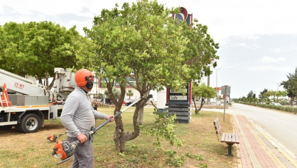 Kepez’de Gazi Bulvarı’ndaki parkların bakımı yapıldı 