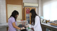 Kepez’in can dostları emin ellerde