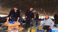 Kepez’de işportacılara geçit yok  
