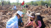 Kepezli Minikler, yangın sonrası orman alanına umut dikti