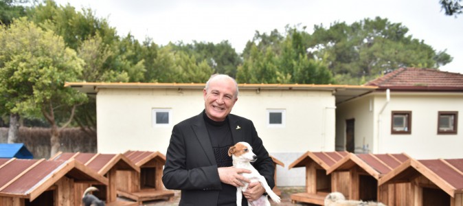 Kepez’de sokak hayvanlarına sıcacık yuvalar