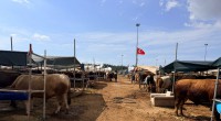 Kepez’in kurban pazarları hizmette