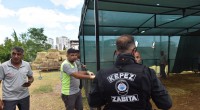 Kepez’de izinsiz kurban satışına sıkı denetim
