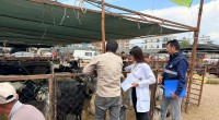 Kepez’de kurban satış ve kesim yerleri denetim altında