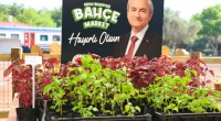 Kepez’de Yerli ve Uygun Fidan Dönemi: Bahçe Market Açılıyor