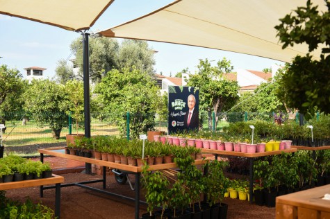 Kepez’de Yerli ve Uygun Fidan Dönemi: Bahçe Market Açılıyor
