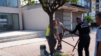Kepez’de kamu alanı işgallerine geçit yok