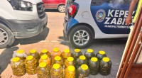 Kepez’de gıda deposuna denetim: 152 kilo et ve 20 bidon turşuya el konuldu