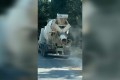 Kepez’de beton mikserine 200 bin liralık ceza!  Yola harç döktü, foto kapan ve ekipler devrede