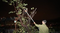 Gece Yarısı Gelen Felaket: Kepez’de Hortumun İzleri Siliniyor