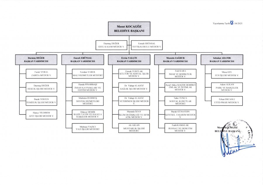 Organizasyon Şeması